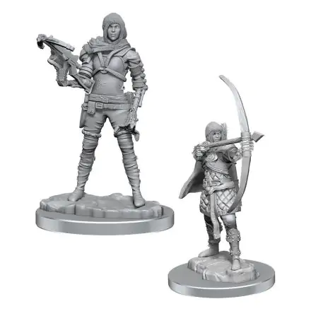 WizKids Deep Cuts Miniatures Figurine Nevopsite Set 2 Bucăți Human Rogue termékfotója